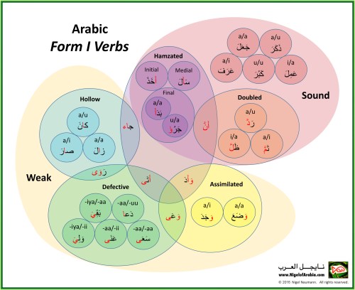 arabic-form-1-verbs-venn-diagram-nigel-of-arabia